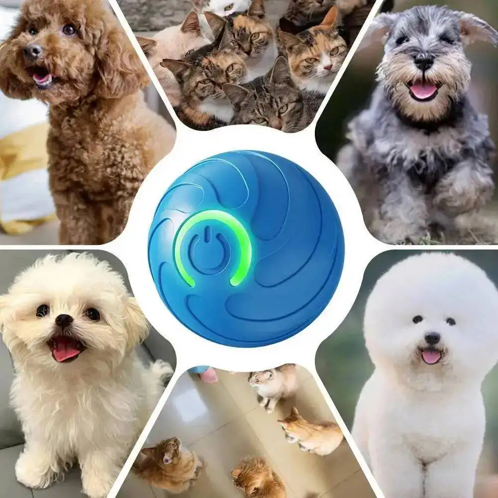 A blue interactive pet ball is surrounded by various dogs and cats.
