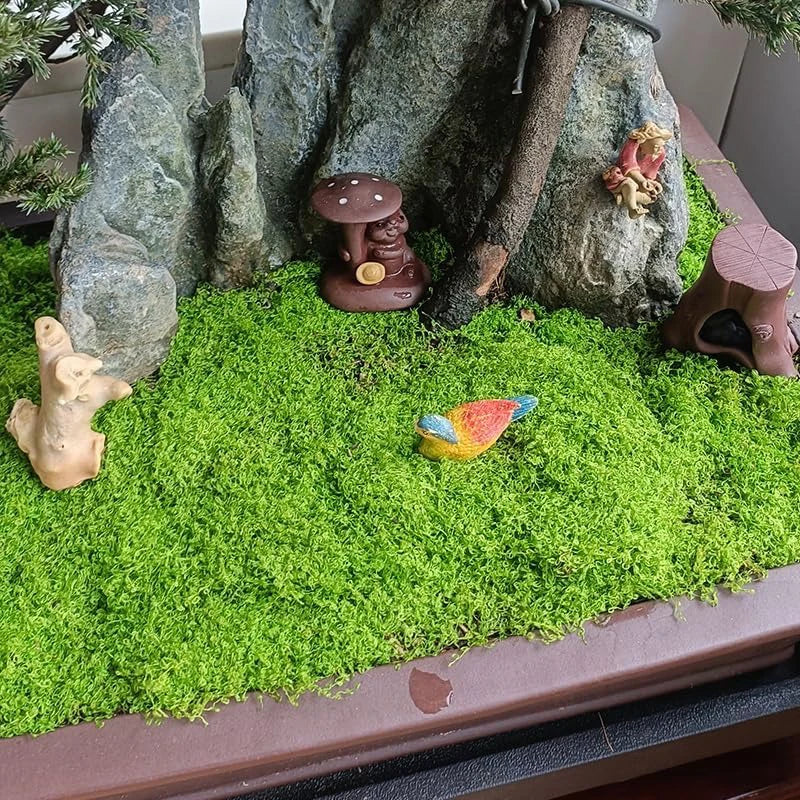 Natural Green Preserved Moss for DIY Crafts and Decor