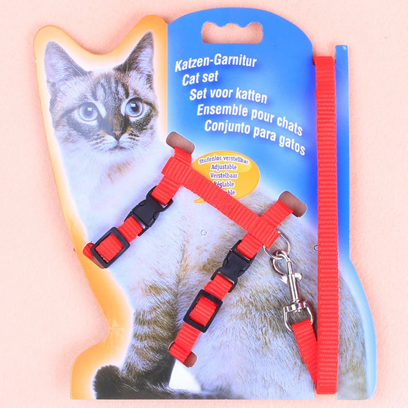 A set of adjustable red and black chest straps and leash for cats displayed on a cardboard backing.