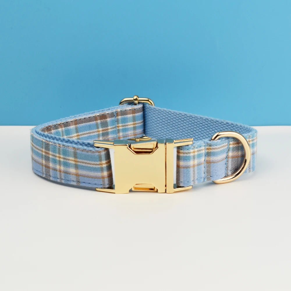 A light blue plaid dog collar with a gold buckle displayed on a white surface.