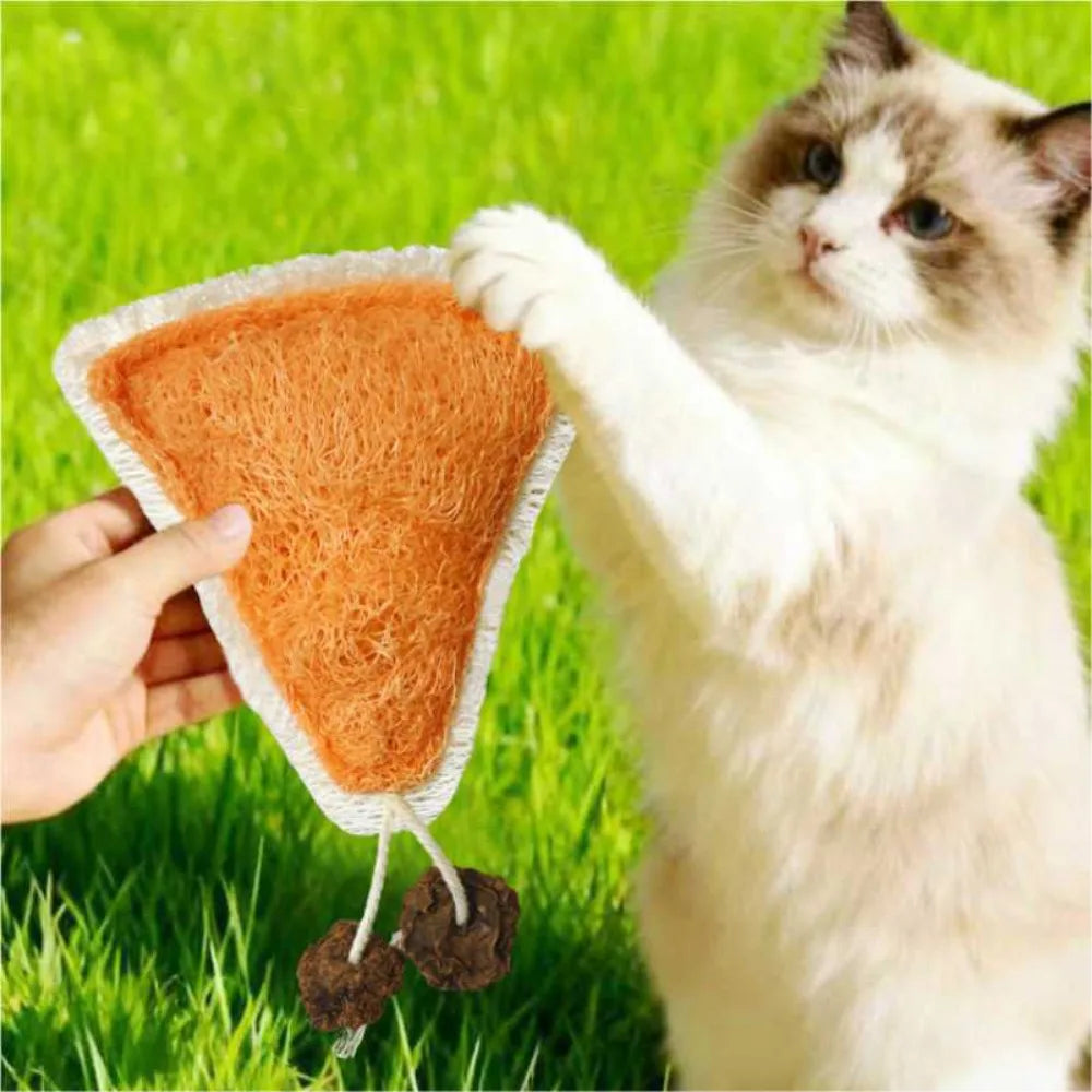 A cat is holding an orange natural loofah chew toy for teething and dental health in green grass.
