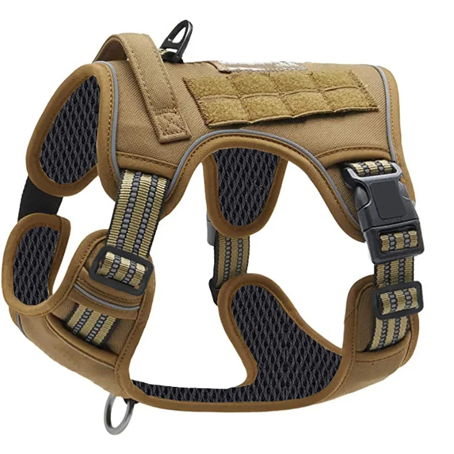 Tan taktisches Hundehalsband mit schwarz-goldener Gurtung und gepolsterten Bereichen.