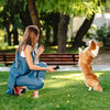 LED Ultrasonic Dog Repeller - Anti Barking Training Device