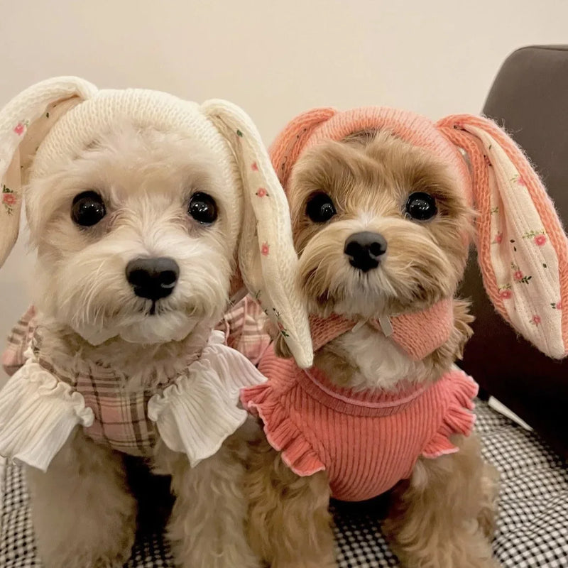 Cozy Knitted Rabbit Ears Pet Hat