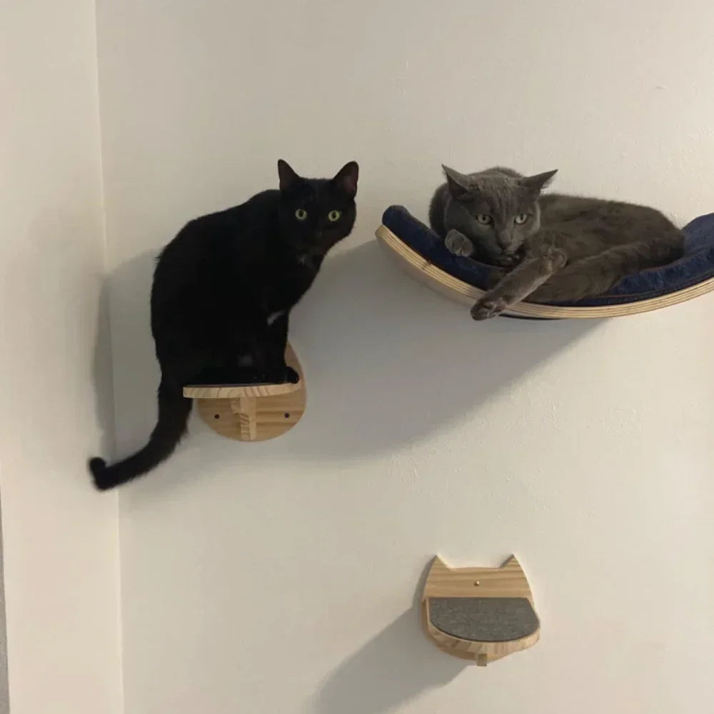 Wall-Mounted Cat Climbing Shelf Set with Hammock and Scratching Posts
