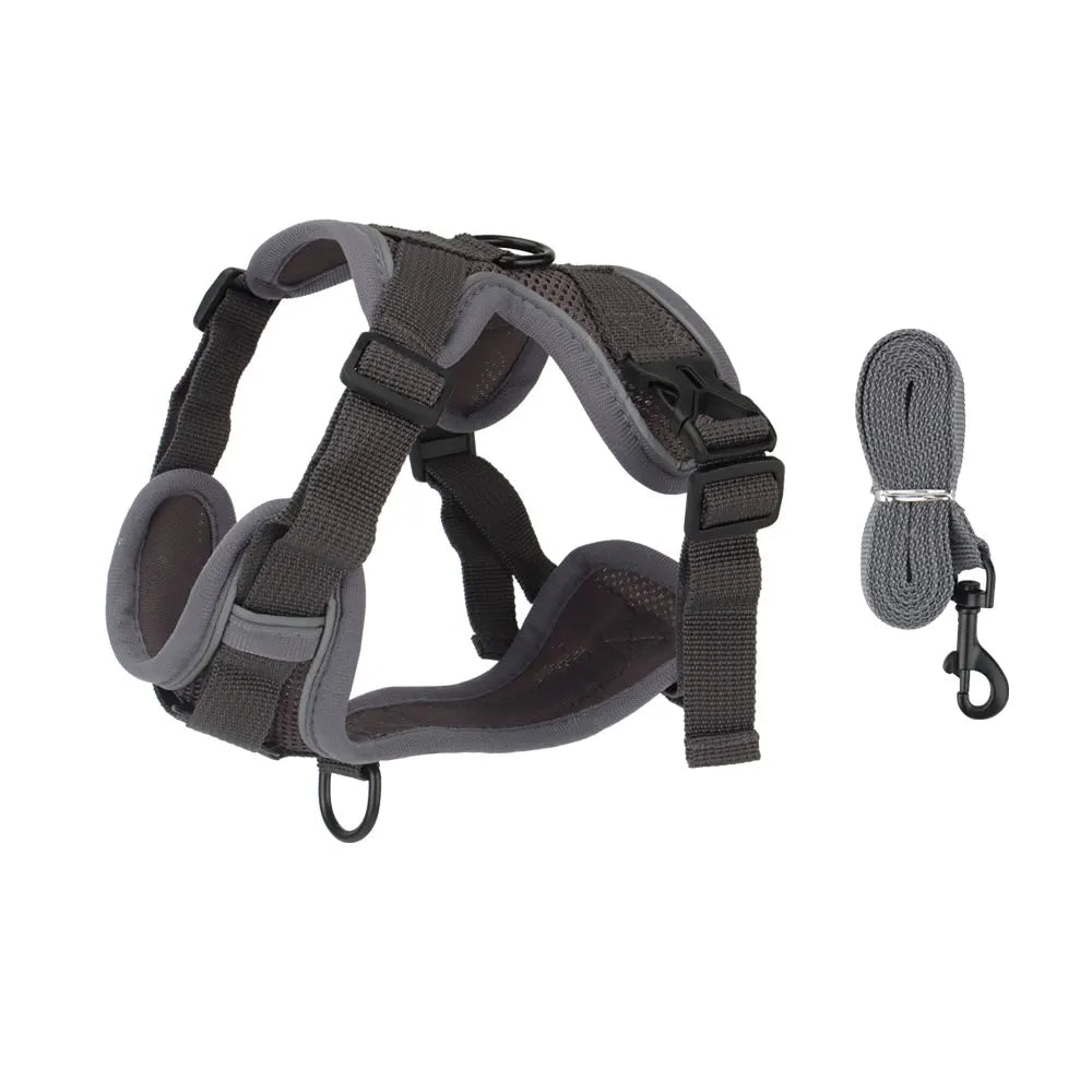 A dark gray reflective dog harness and leash set for small to medium dogs.