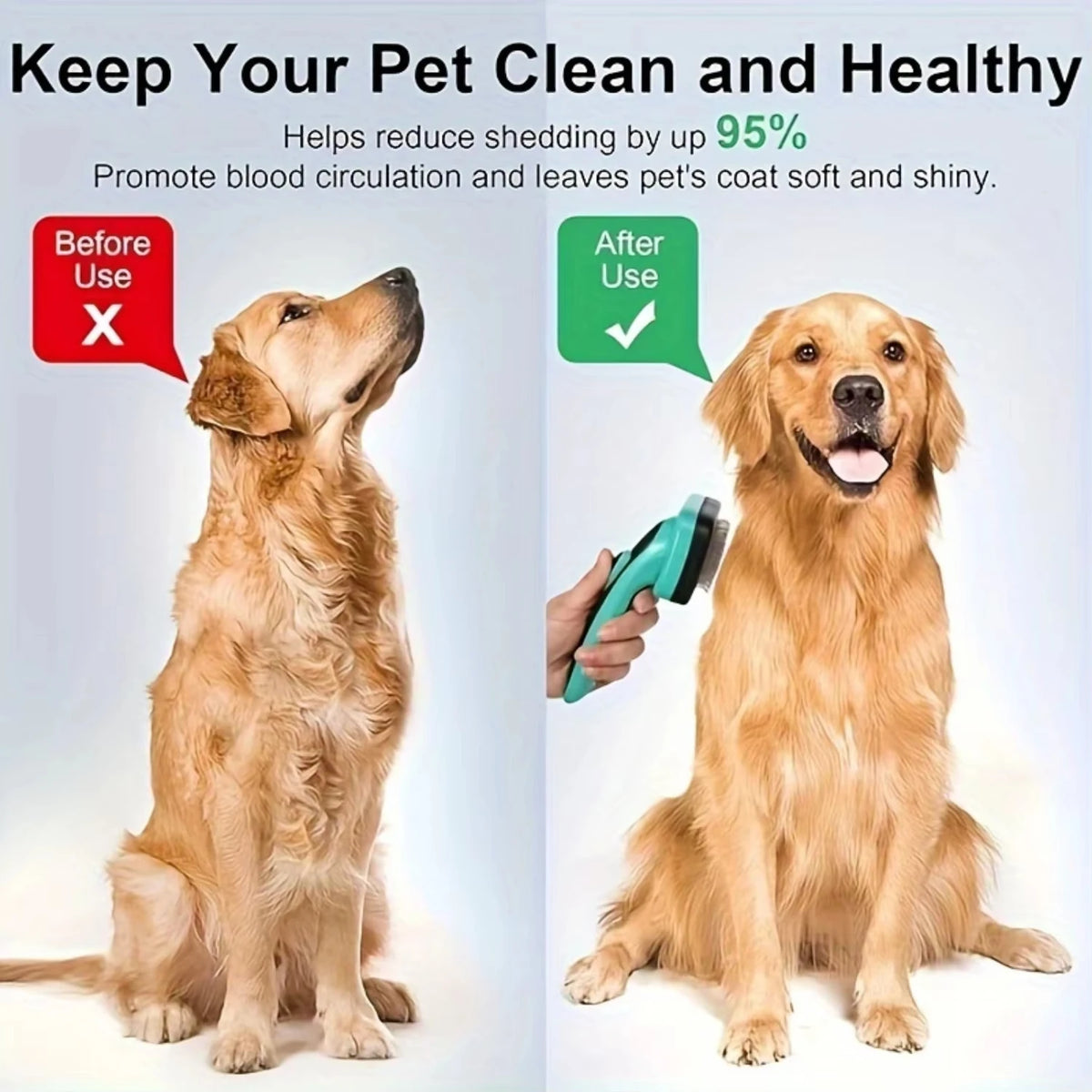 Un golden retriever après avoir utilisé une brosse auto-nettoyante pour chiens et chats.