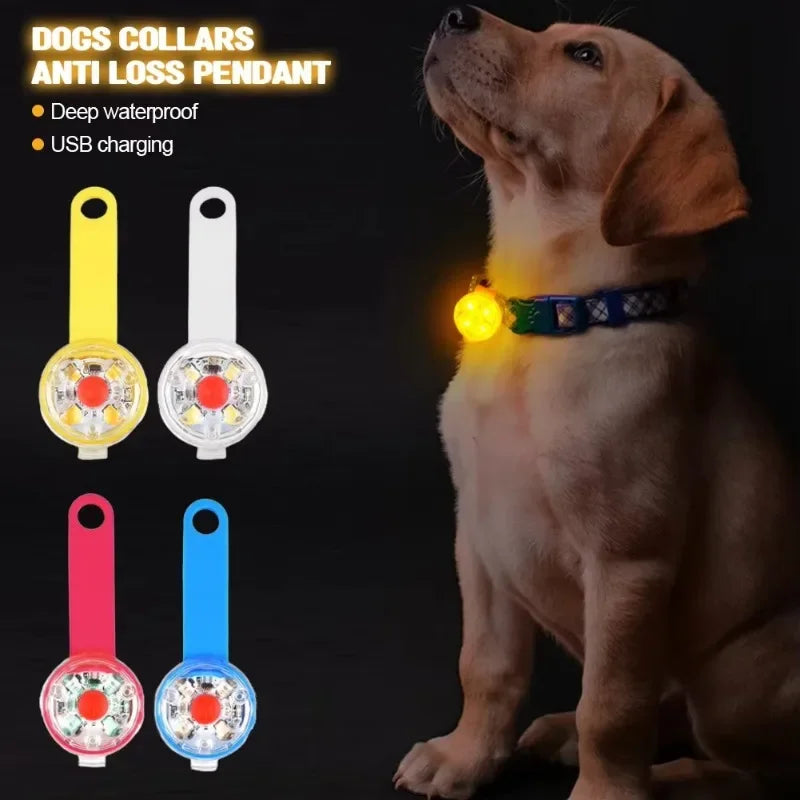 Collier de sécurité LED rechargeable par USB pour animaux