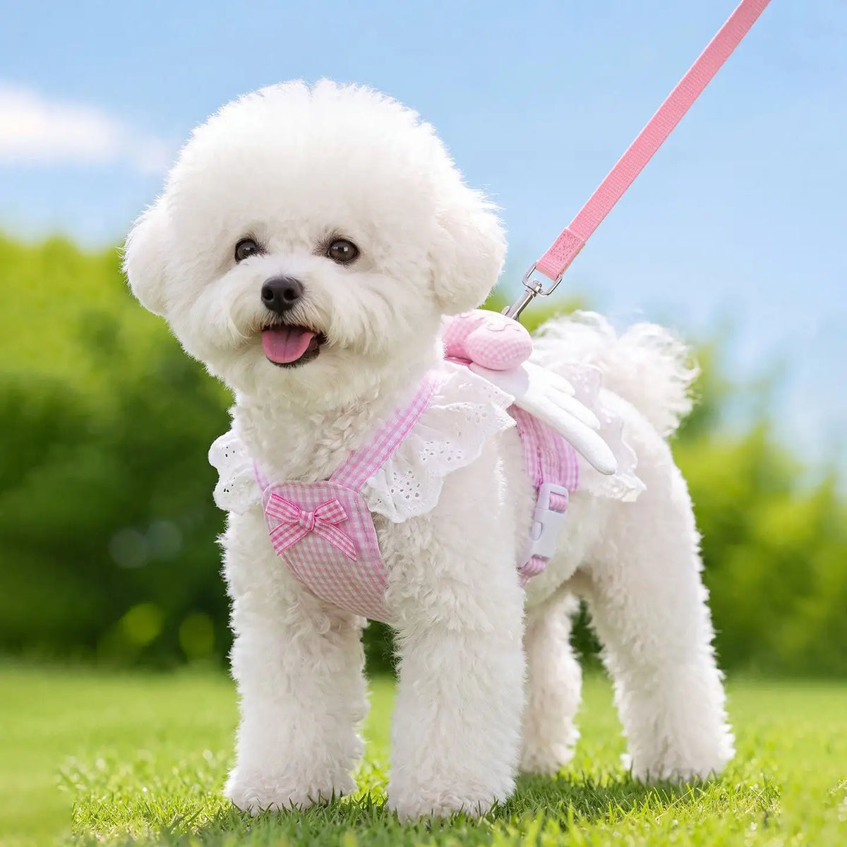 A fluffy white dog wearing a pink lace ruffle plaid harness vest outdoors.
