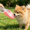 A fluffy orange dog is drinking water from a pink silicone bottle attached to a leash.
