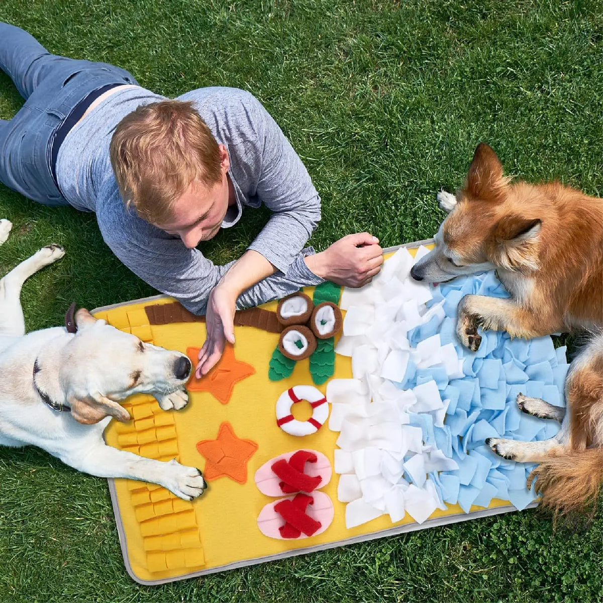 A dog and a person are interacting with a yellow blanket filled with various scented items for pet sniffing training.
