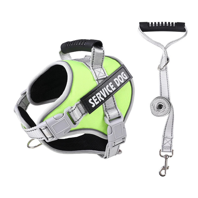 A lime green dog harness with black and silver accents and a leash.