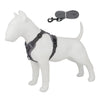 A white dog model wearing a gray harness and attached leash set.