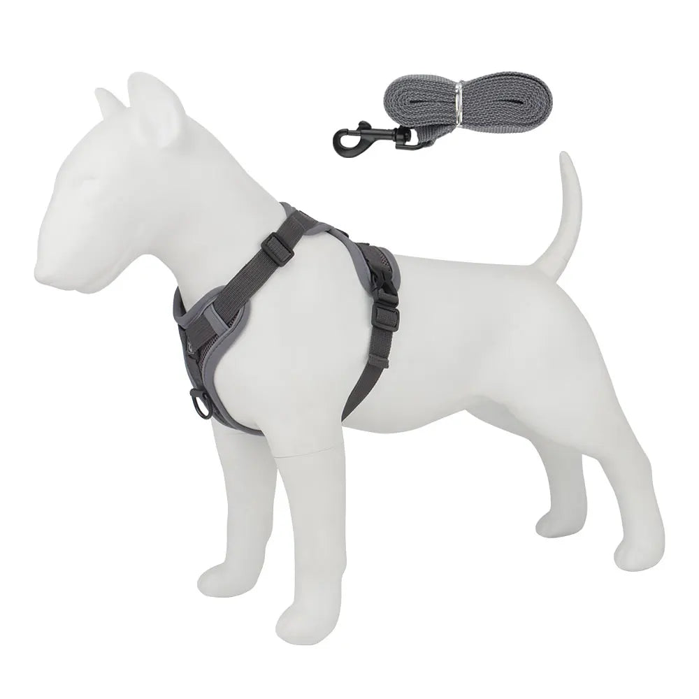 A white dog model wearing a gray harness and attached leash set.