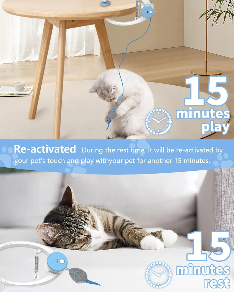 Auto-Rebound Tür-Spielzeug für Katzen mit austauschbaren Mäusen