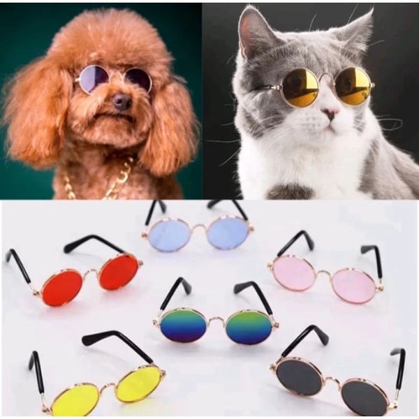 Gafas de Sol Antideslizantes para Gatos y Perros Pequeños