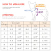 Breathable Mesh Cooling Vest for Small Dogs and Cats