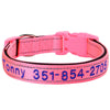 Personalisierte bestickte Nylon-Hundehalsband