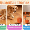 Interactive Automatic Rolling Dog Ball with Motion Activation