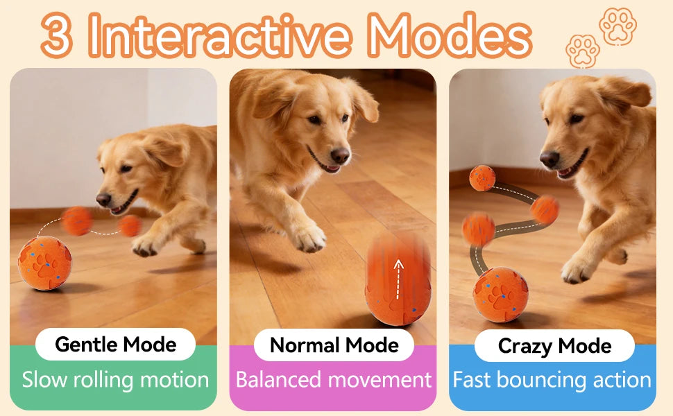 Interactive Automatic Rolling Dog Ball with Motion Activation