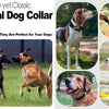 Tactical Dog Collar with AirTag Holder and Control Handle for Medium and Large Dogs