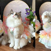 Rainbow Butterfly Tutu Dress for Small Dogs and Cats