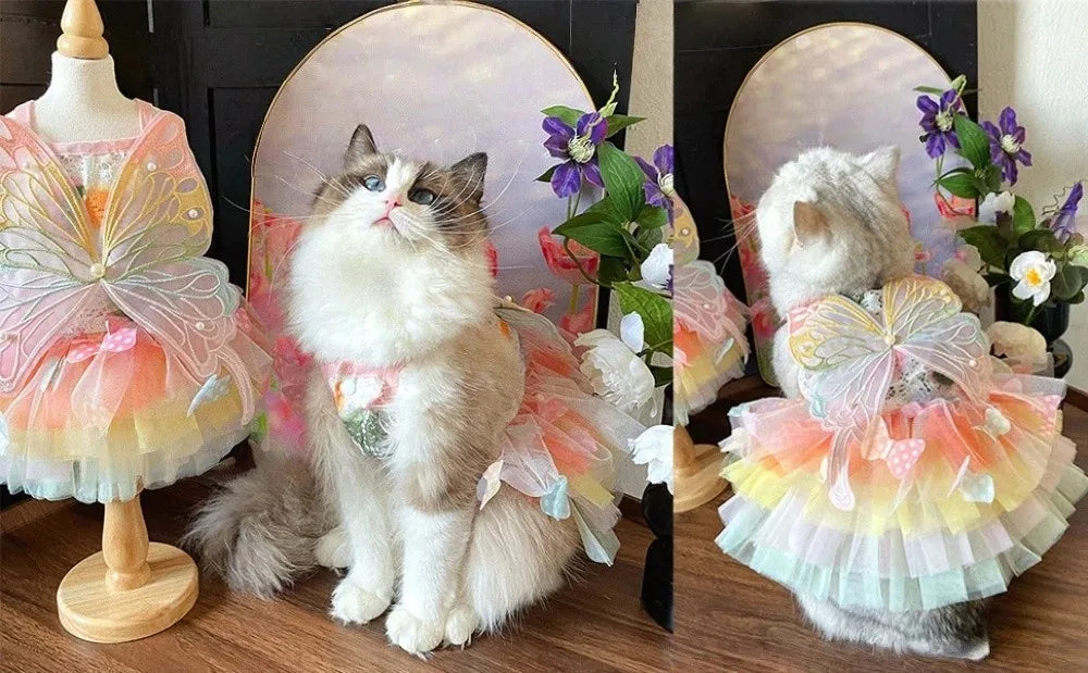 Rainbow Butterfly Tutu Dress for Small Dogs and Cats