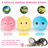 Balle Interactive à la Catnip pour Chats
