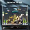 A glass aquarium setup featuring hydroponic plants and rocks, demonstrating nature in a fish tank.