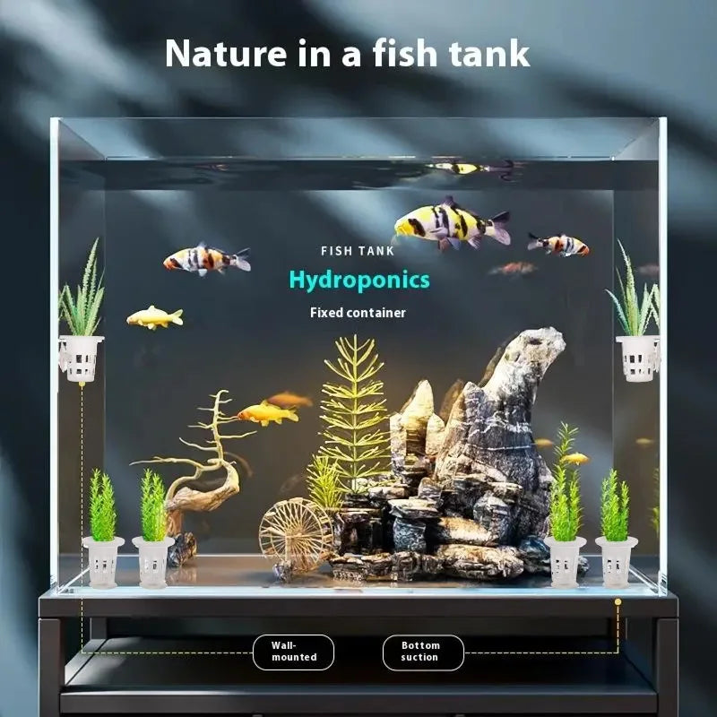 A glass aquarium setup featuring hydroponic plants and rocks, demonstrating nature in a fish tank.
