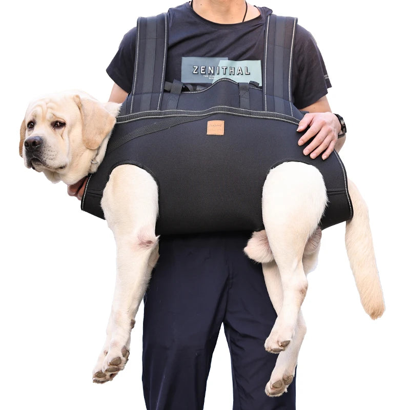 Ein helles Labrador-Welpe wird in einem schwarzen Hundetransporter-Rucksack getragen.