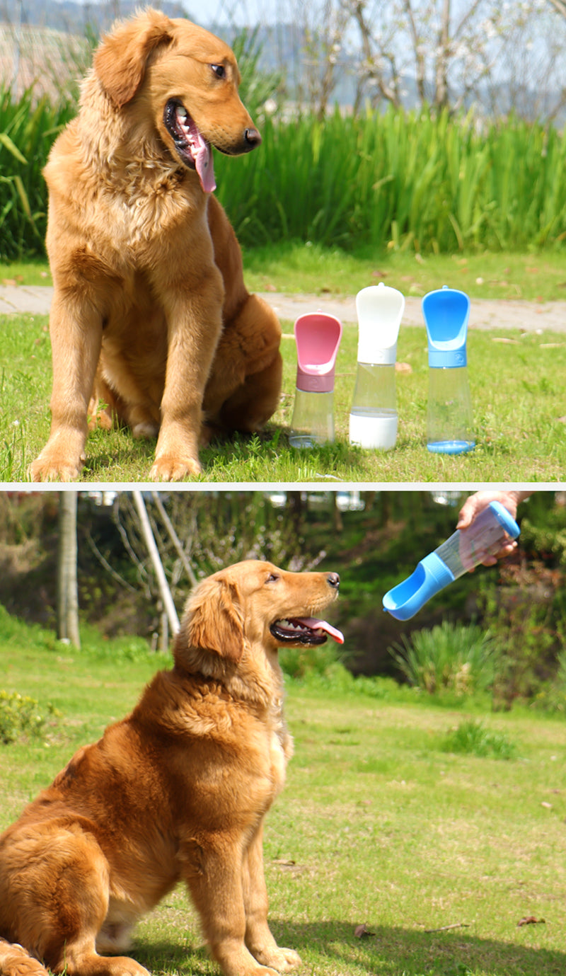 Tragbare 2-in-1 Haustier-Wasserflasche mit Schale