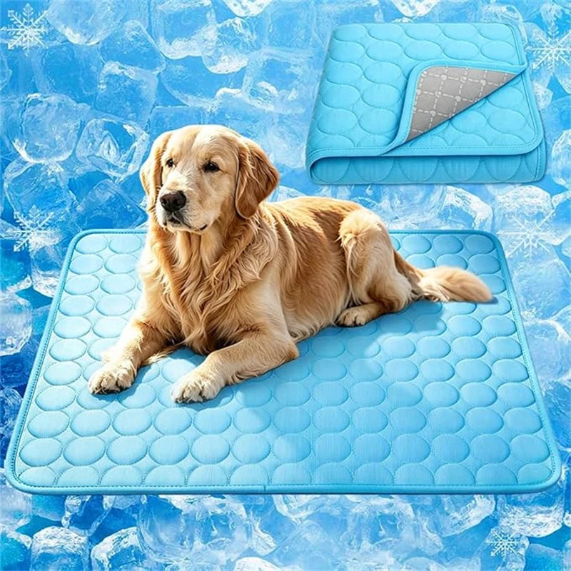 A golden retriever lies on a blue quilted pet mat against a background of ice crystals.