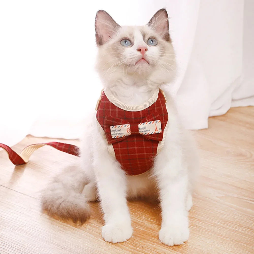 A fluffy white cat wearing a red plaid bowknot harness and vest.