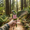 A hand holds an adjustable parrot flying harness with a green and pink parrot perched on it in a forest setting.