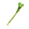 Interactive Catnip Chew Toy for Dental Health & Play