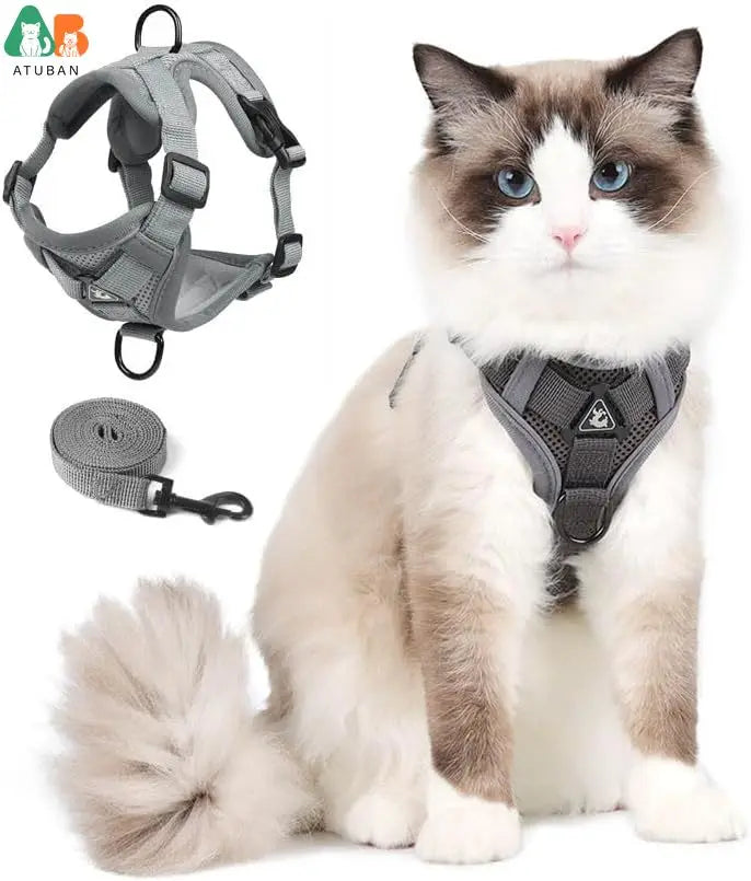 Ausbruchssicherer Katzen-Geschirr mit Leine