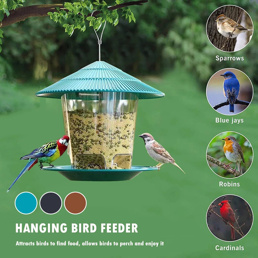 A hanging bird feeder with a clear viewing panel attracting various birds like sparrows, blue jays, robins, and cardinals.