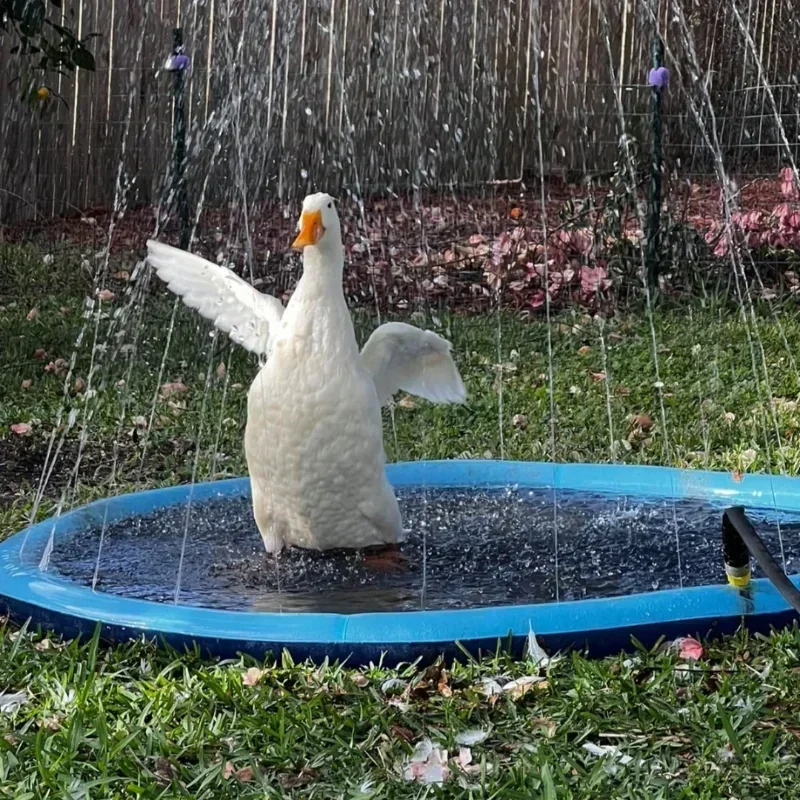 Inflatable Pet Splash Pad with Non-Slip Cooling Surface