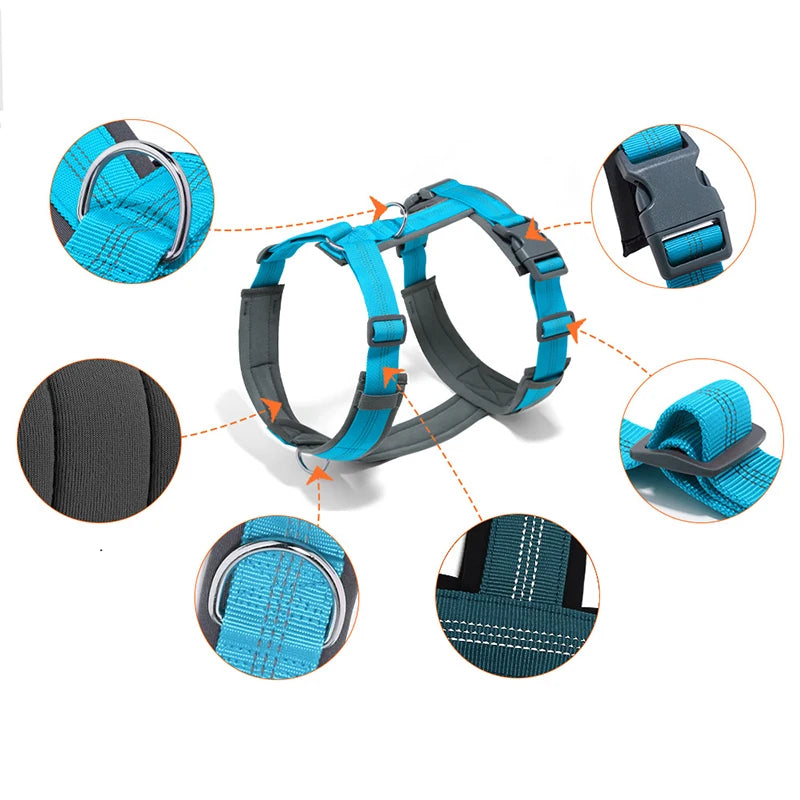A set of adjustable no-pull reflective dog harnesses in teal and gray colors shown from various angles.