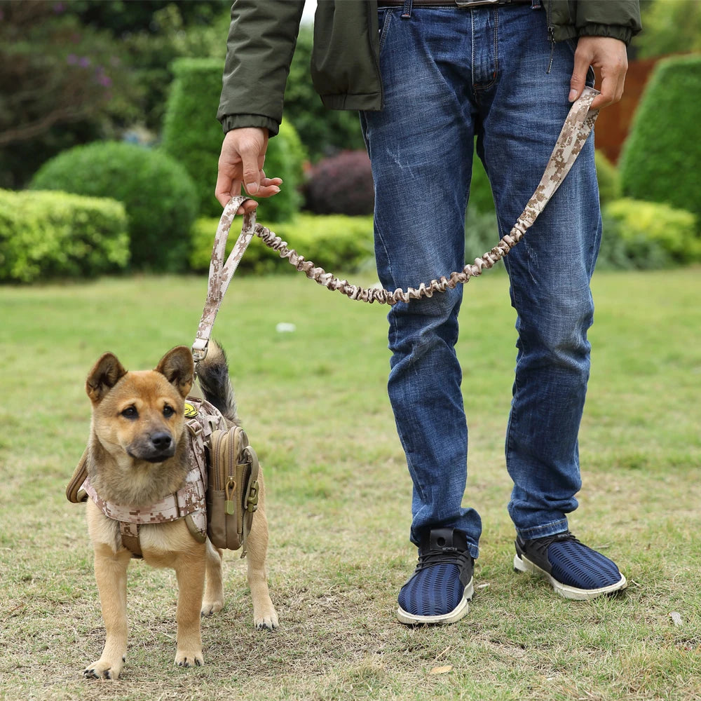 Tactical Dog Leash with Dual Handles and Shock-Absorbing Bungee