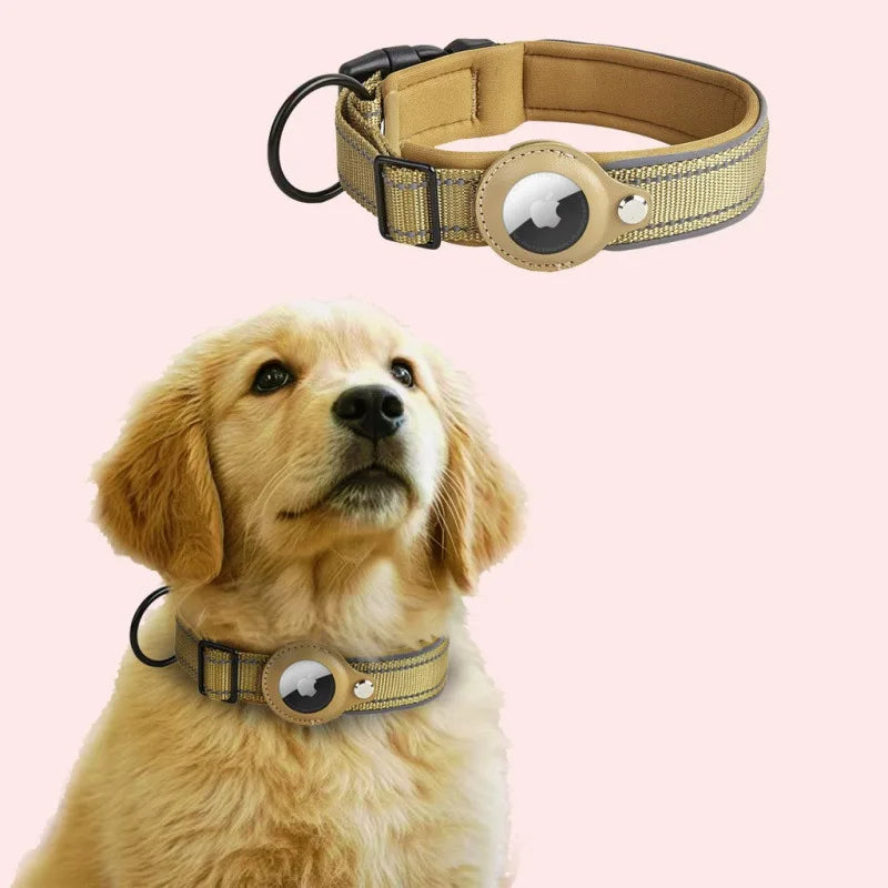 A golden retriever wearing a tan reflective airtag dog collar with a clear dome tag.