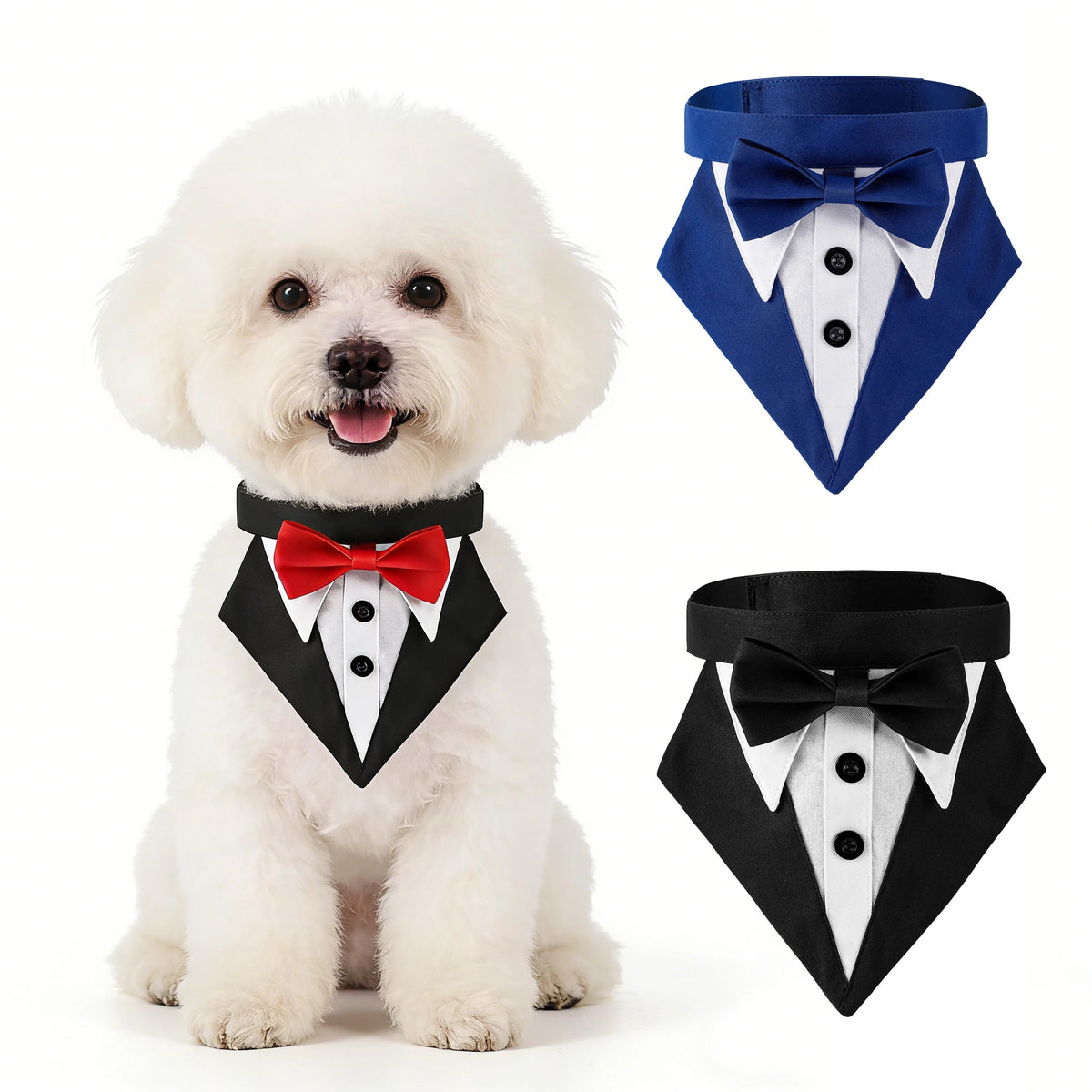 A white poodle wearing a black tuxedo bandana with a red bow tie and a blue bowtie accessory.