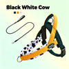 Quick-Release No-Choke Dog Harness with Dual D-Rings