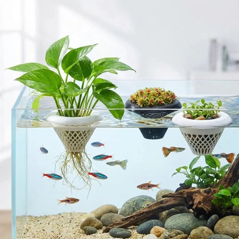 A clear glass aquarium features floating aquatic plants rooted in a decorative pot above a bed of small stones.