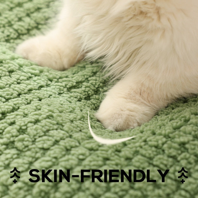 عش حيوانات دافئ ومأوى للقطط والكلاب