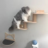 Wall-Mounted Cat Climbing Shelf Set with Hammock and Scratching Posts