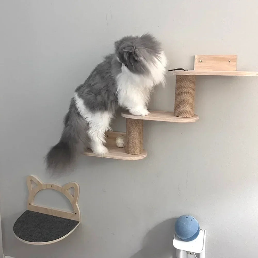 Wall-Mounted Cat Climbing Shelf Set with Hammock and Scratching Posts