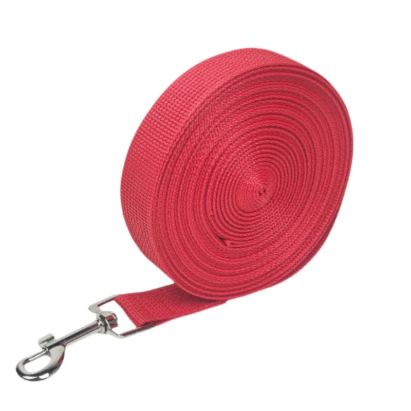 Red nylon dog leash coiled on a strap with a metal clip.