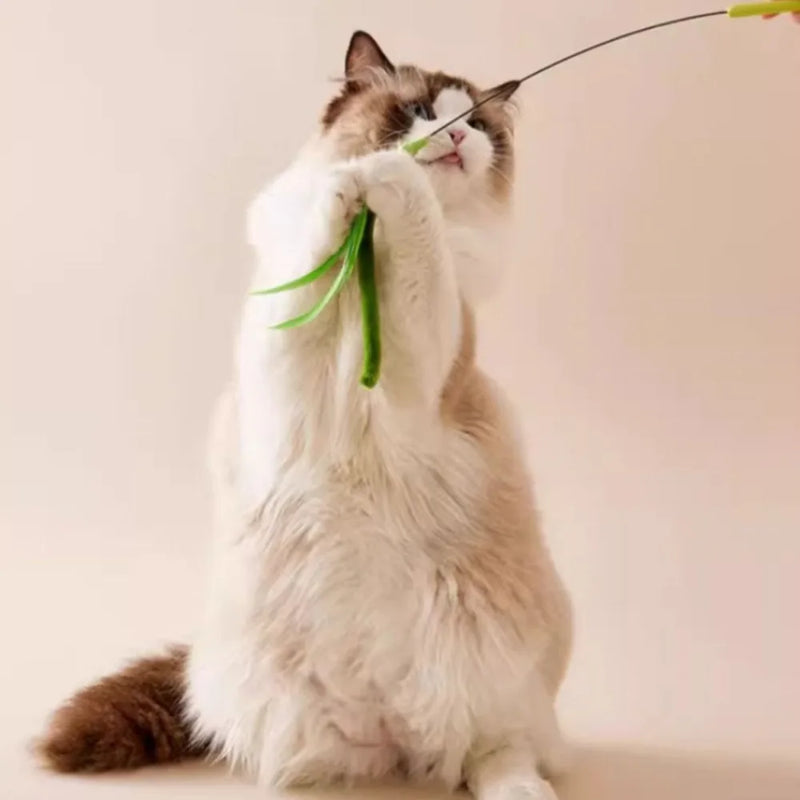 Juguete Interactivo para Gatos con Plumas